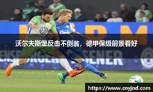 沃尔夫斯堡反击不倒翁，德甲保级前景看好